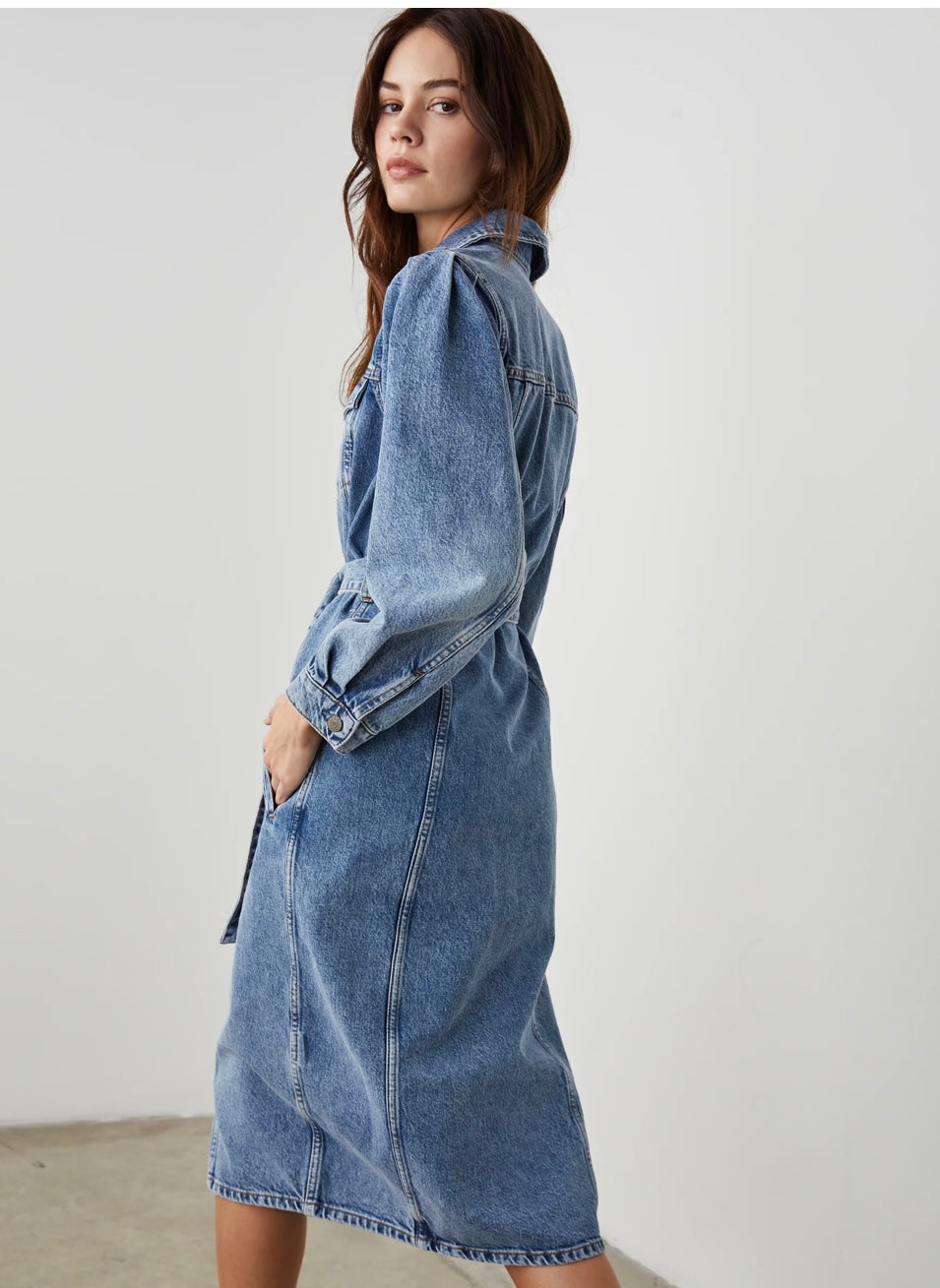 Rails Pismo Stillwater Dress