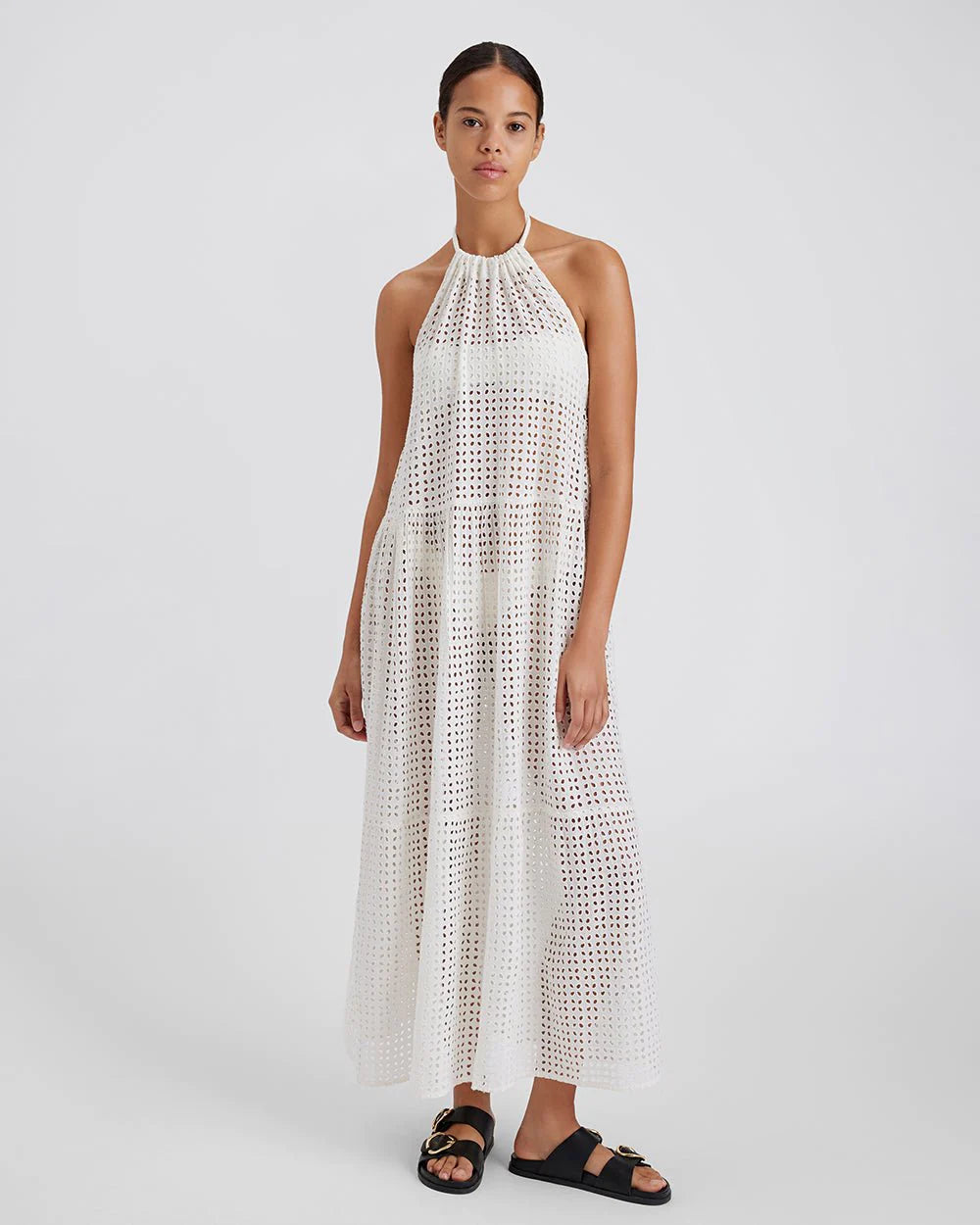 Solid & Striped